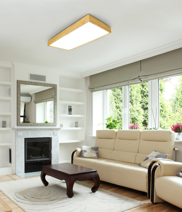 디오 2등 50W 국산LED거실등 아파트거실등